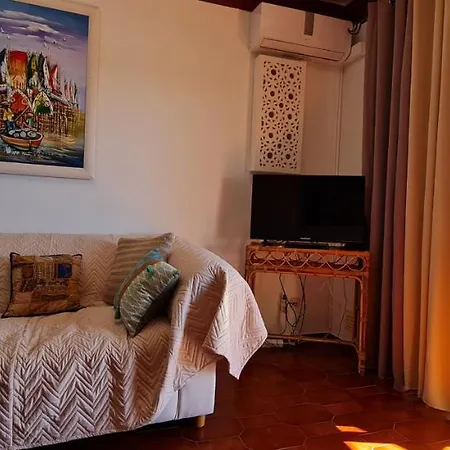 Donana 91 * 拉哥斯